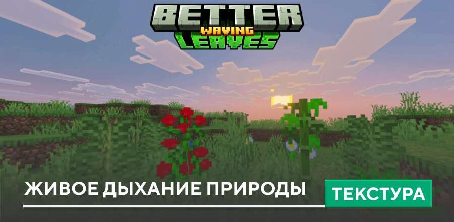 Текстуры: Живое дыхание природы