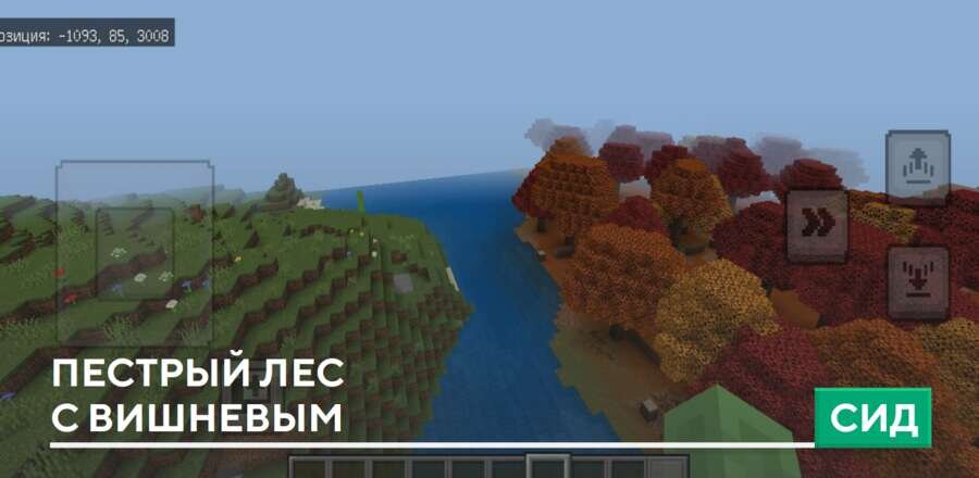 Сид: Пёстрый лес с вишневым