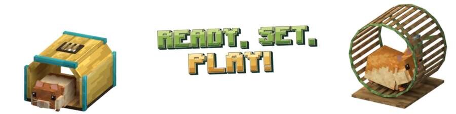 Игрушки для Хомяков