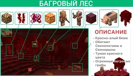 Описание Багрового леса
