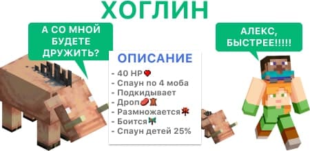 Хоглин и Стив