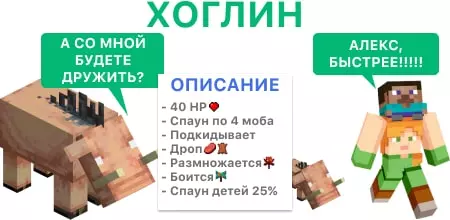 Хоглин и Стив