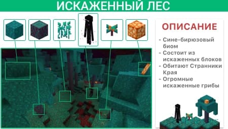 Описание Искаженного леса