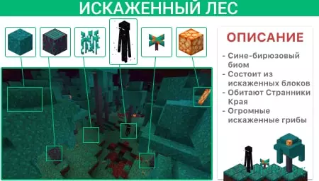 Описание Искаженного леса